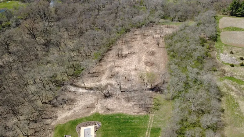 Aerial view of land clearing project